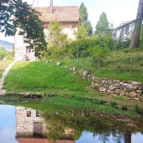 1-bosco