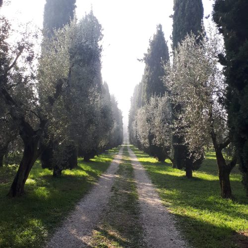 3-sentiero